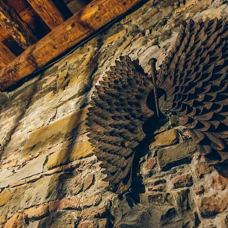 Aquila D'oro Gæstehus Trieste